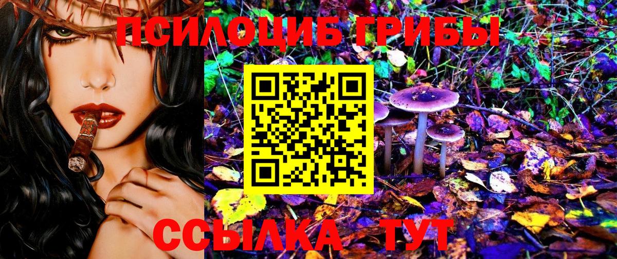 Псилоцибиновые грибы мицелий Каспийск